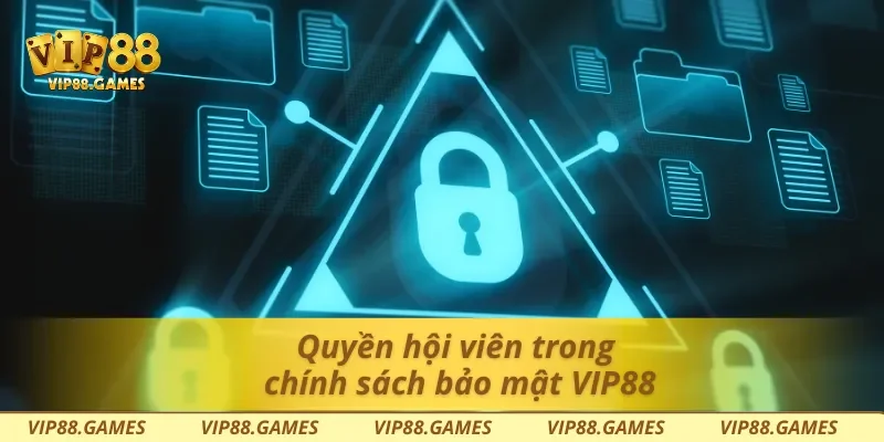 Chính Sách Bảo Mật Vip88 - Cam Kết An Toàn Dữ Liệu