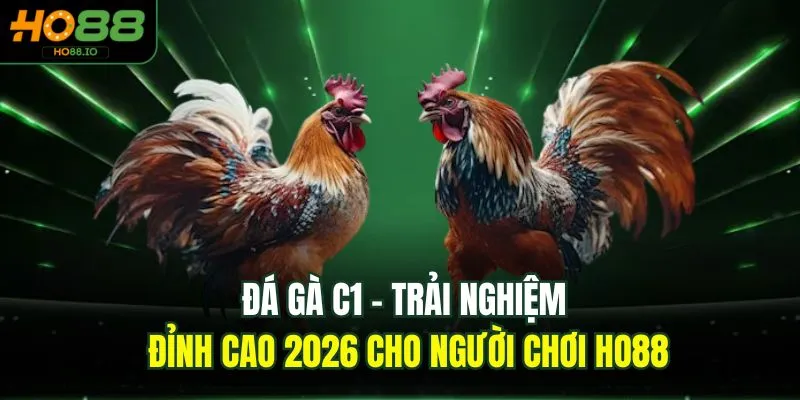 Đá Gà C1 - Trải Nghiệm Đỉnh Cao 2026 Cho Người Chơi HO88 