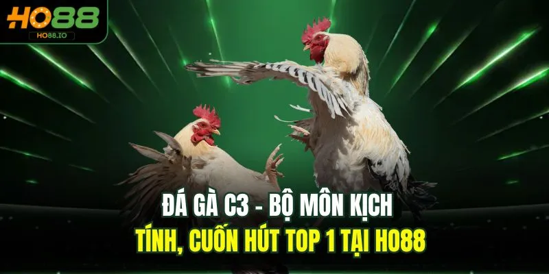 Đá Gà C3 - Bộ Môn Kịch Tính, Cuốn Hút Top 1 Tại HO88