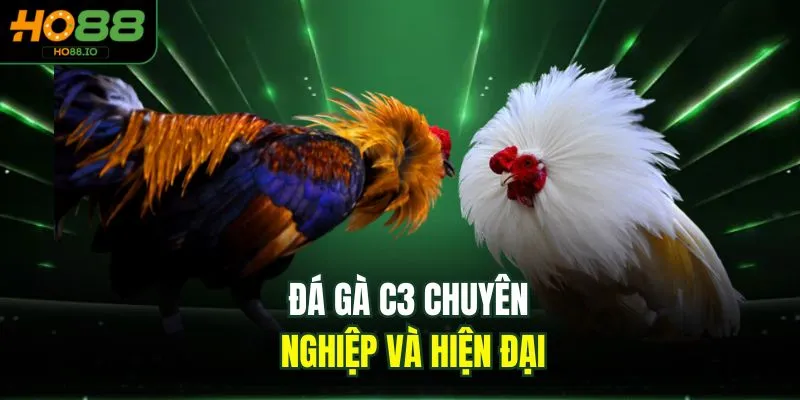 Đá Gà C3 - Bộ Môn Kịch Tính, Cuốn Hút Top 1 Tại HO88