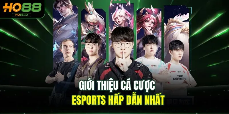 Esports Tại HO88 - Top 1 Sân Chơi Cá Cược Uy Tín 2026