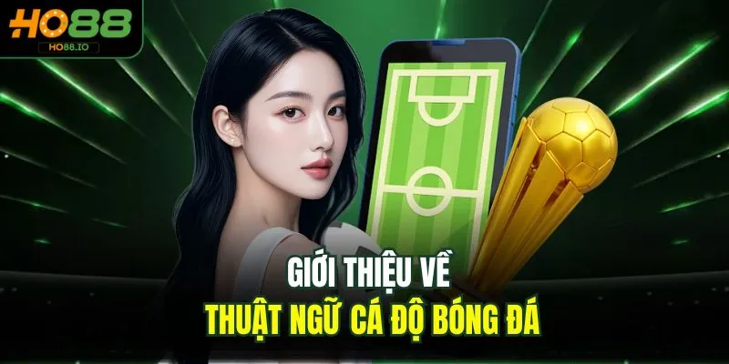 Thuật Ngữ Cá Độ Bóng Đá - Cẩm Nang Mới Nhất 2026 Tại HO88
