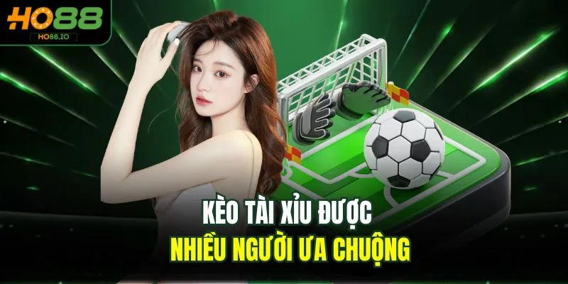 Thuật Ngữ Cá Độ Bóng Đá - Cẩm Nang Mới Nhất 2026 Tại HO88