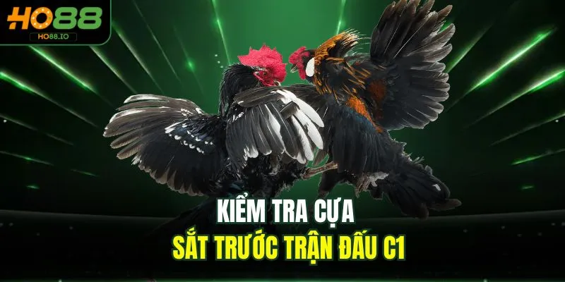 Đá Gà C1 - Trải Nghiệm Đỉnh Cao 2026 Cho Người Chơi HO88 
