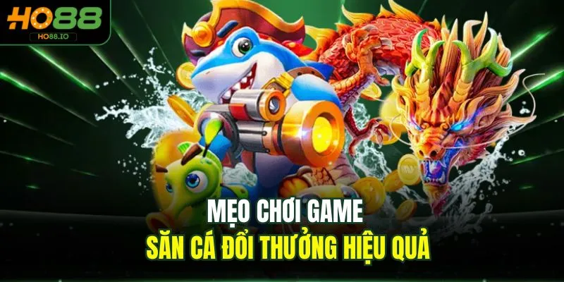 Bắn Cá Rùa Xanh Sân Chơi Đẳng Cấp Tại Nhà Cái HO88 2026