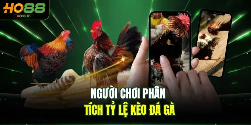 Đá Gà C3 - Bộ Môn Kịch Tính, Cuốn Hút Top 1 Tại HO88