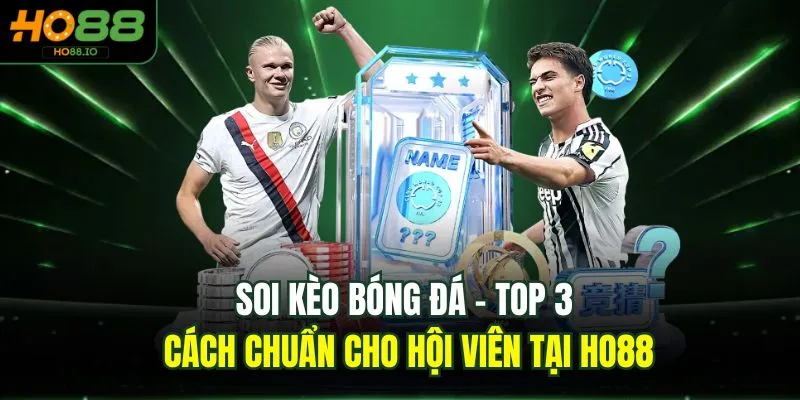 Mẹo Cá Cược