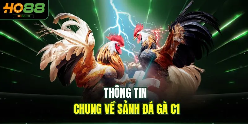 Đá Gà C1 - Trải Nghiệm Đỉnh Cao 2026 Cho Người Chơi HO88 